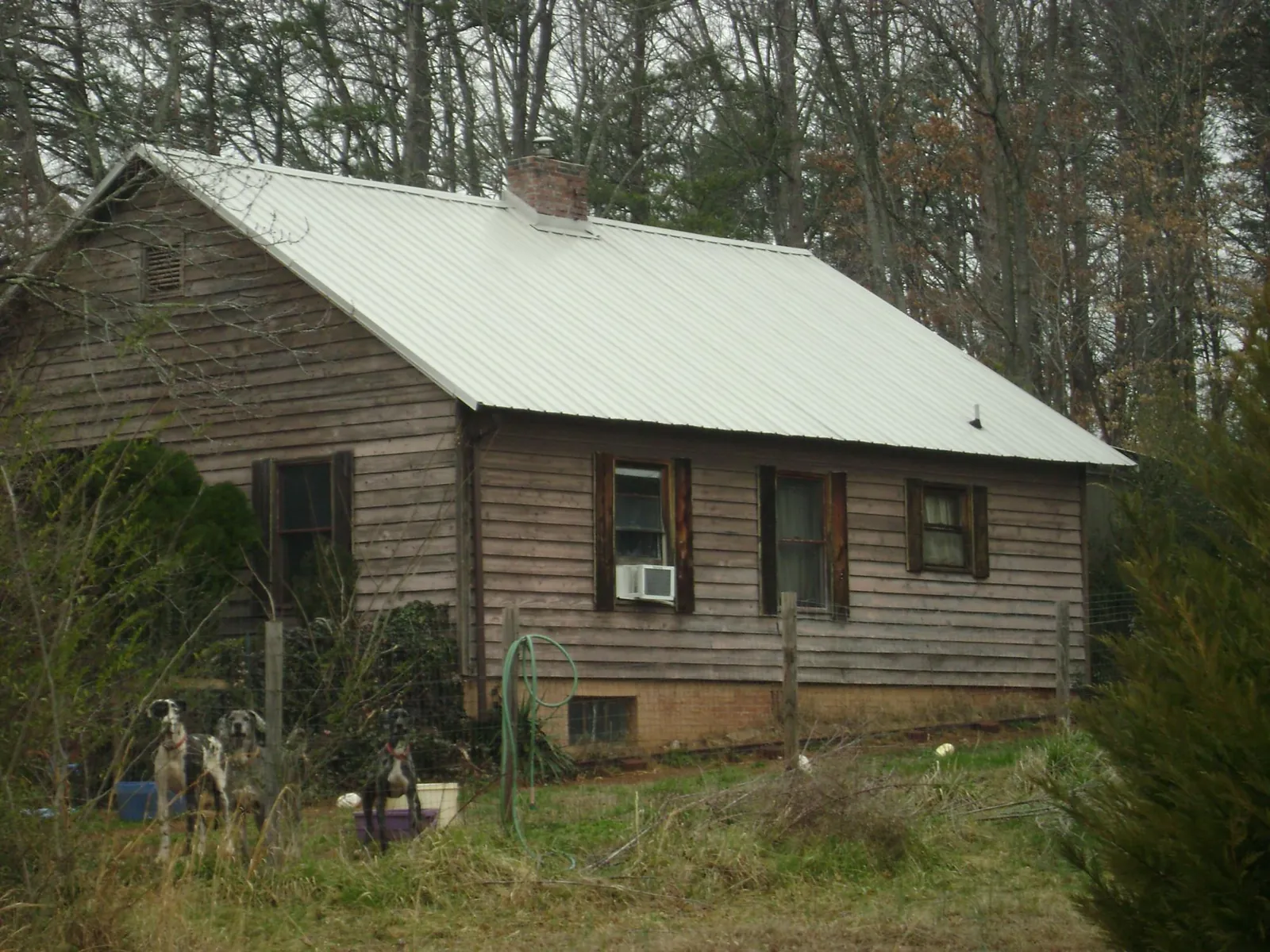 White metal roof on an old wood sided farmhouse, from a Asphalt Shingle Roof Repair job in Campbell